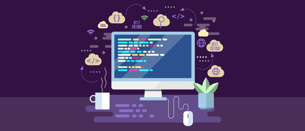 Web-software-development-and-programming-processes