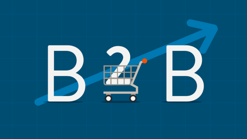 What is B2B Software? Benefits-and-functions-of-B2B-software