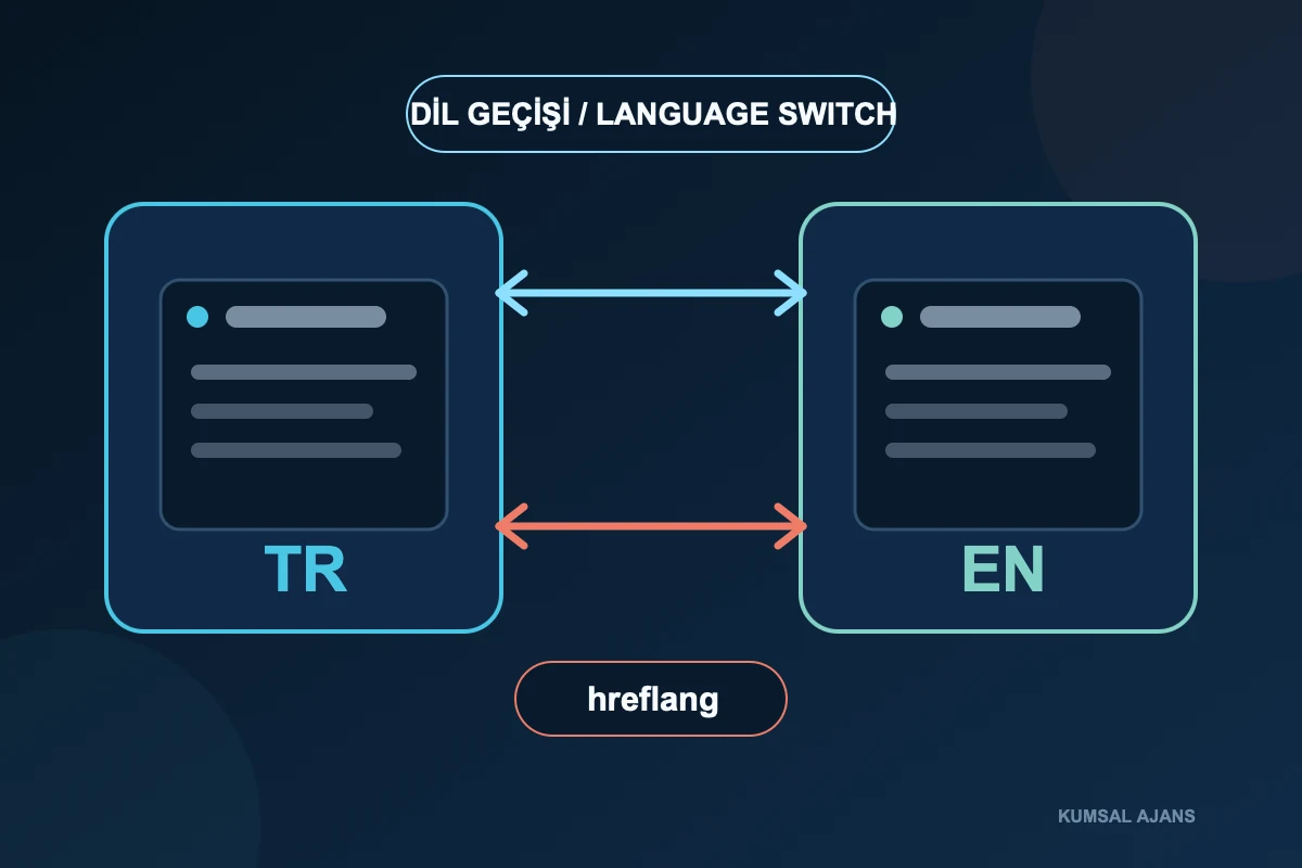 Two-way language switching and hreflang checks between Turkish and English counterpart pages