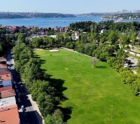 Web Tasarım Beykoz: Doğayla Uyumlu Tasarım