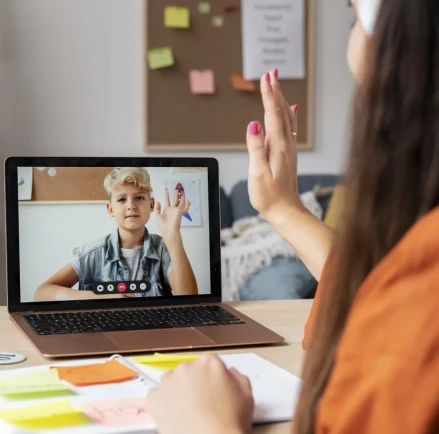 Video Portal Software: Usage in Education