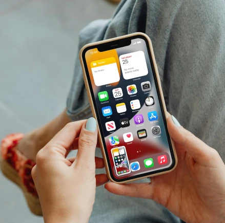 Cross-Platform Mobile Application: Usage and Advantages