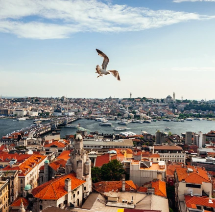 Istanbul Mobile Application Firms: Solution-Oriented