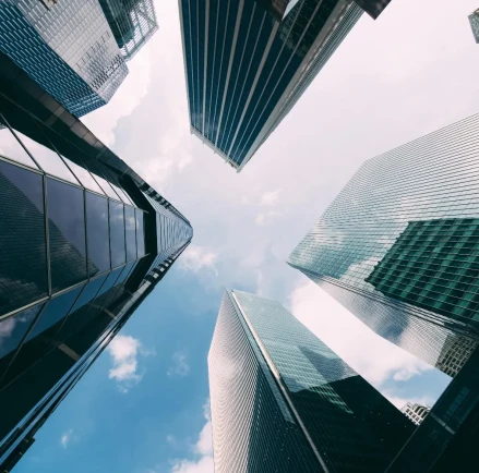 Financial Management Software: Advantages and Usage Areas