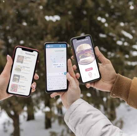 Mobile Application Design: Aesthetic and Functional