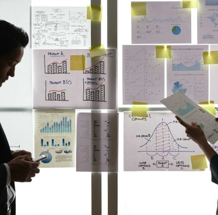 Enterprise Resource Planning (ERP) Software: Usage Areas