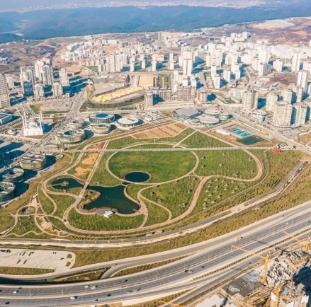 Web Design Başakşehir: Investing in the Future