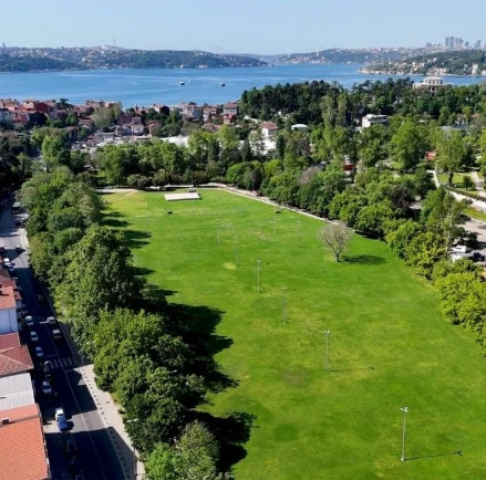 Web Design Beykoz: Harmony with Nature
