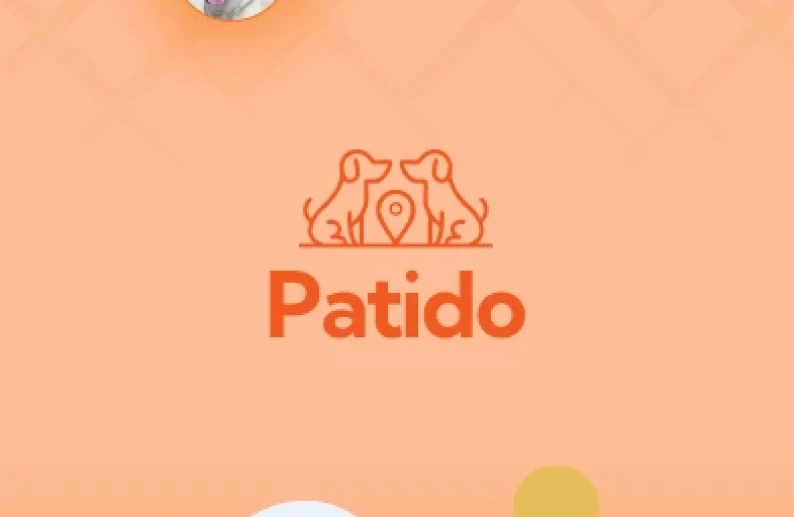 Patido proje detay görseli