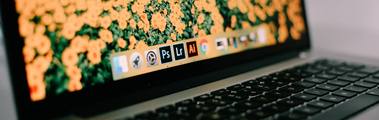 Best Web Design Programs Best Web Design Programs
