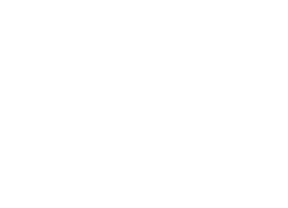 Valour Group logosu