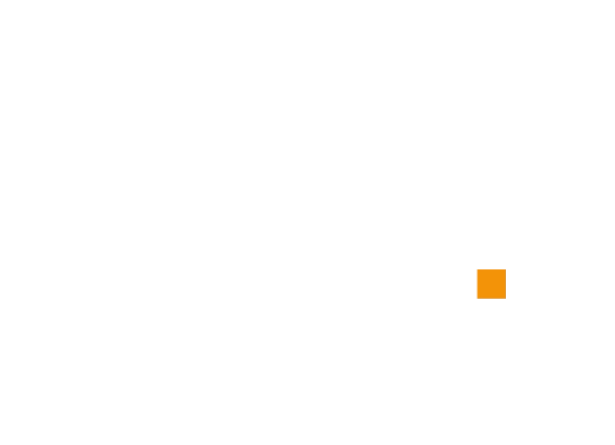 BMS Group BMS Group logosu
