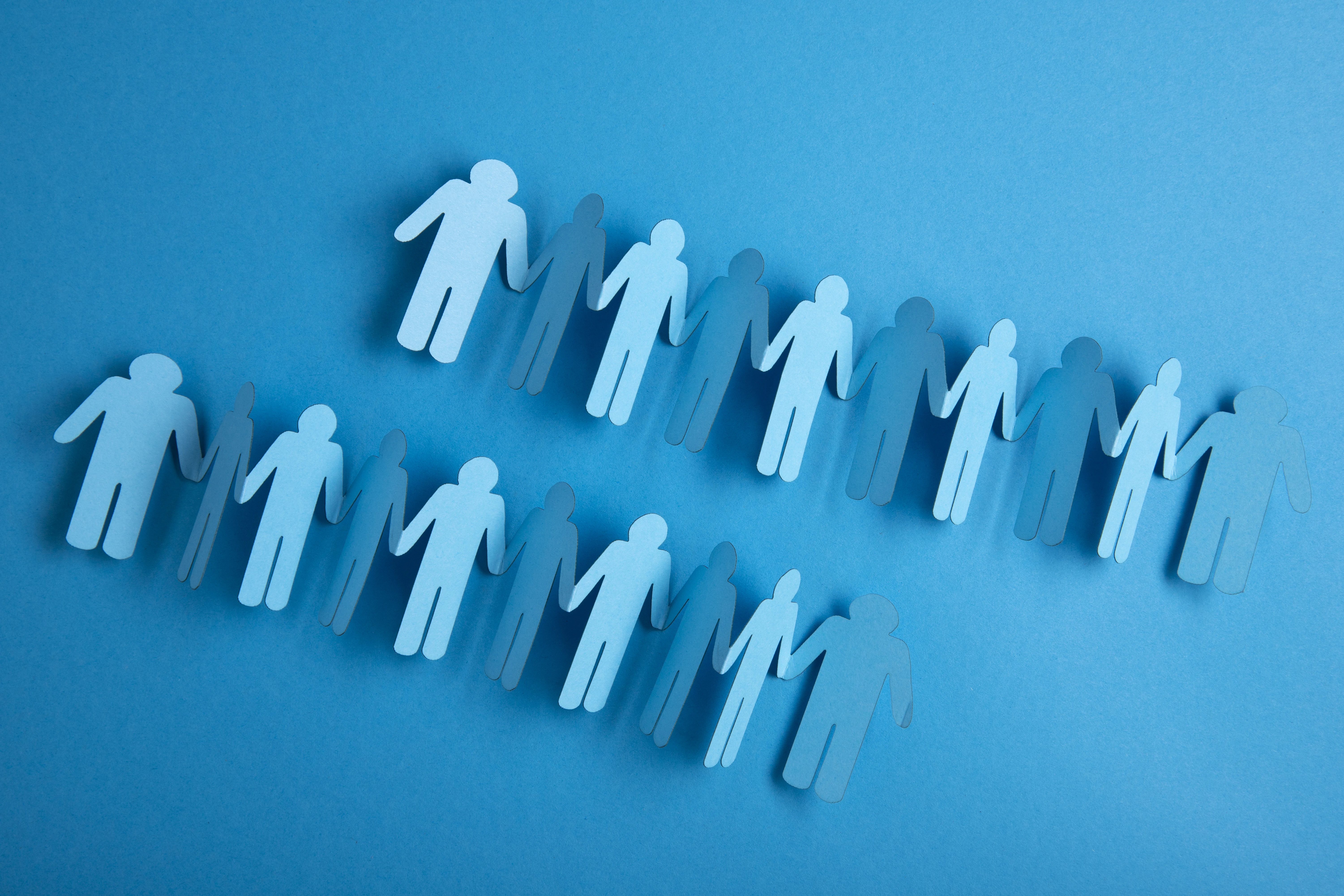 Human Resources Management Software: Usage and Benefits