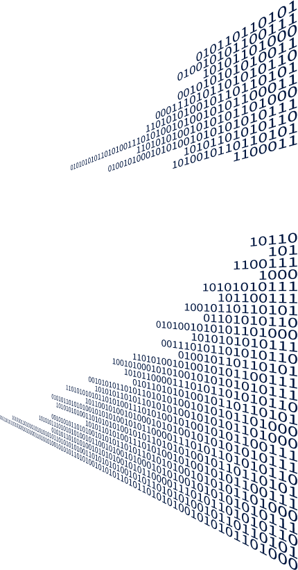 Web Software Web Software