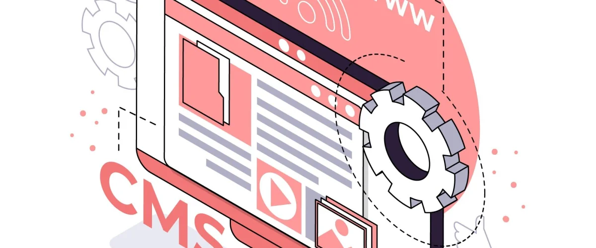 What is the Use of a Custom Software Website?