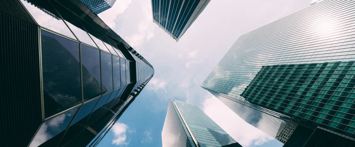 Financial Management Software: Advantages and Usage Areas