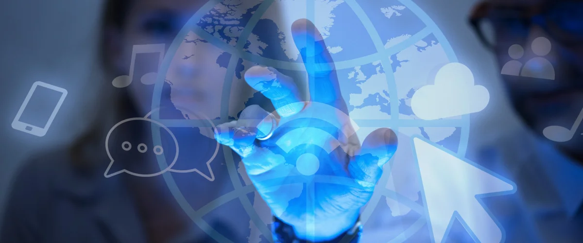 What is Portal Software? | What is its Purpose?