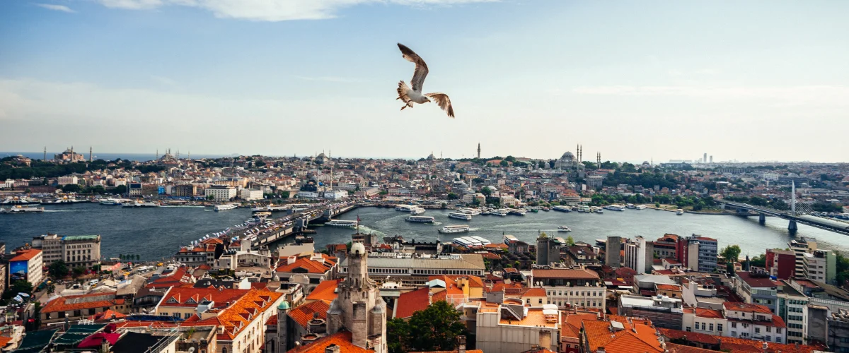 Istanbul Mobile Application Firms: Solution-Oriented