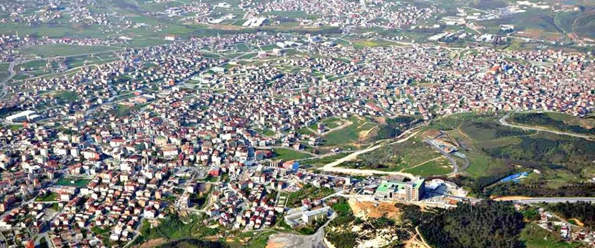 Web Tasarım Arnavutköy: Yerel Güç