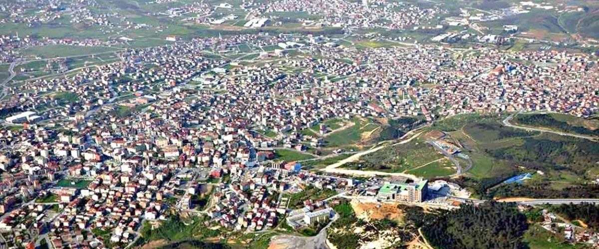 Web Design Arnavutköy: Local Power