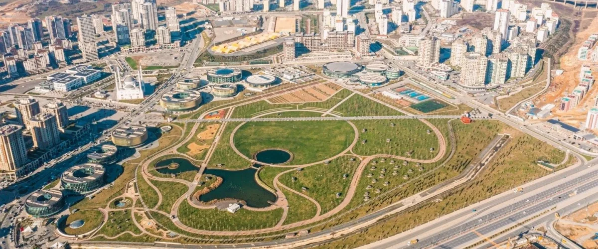 Web Design Başakşehir: Investing in the Future