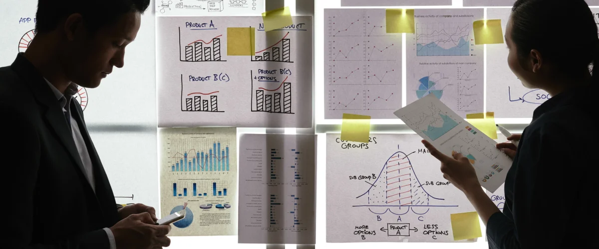Enterprise Resource Planning (ERP) Software: Usage Areas
