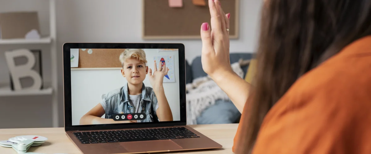 Video Portal Software: Usage in Education