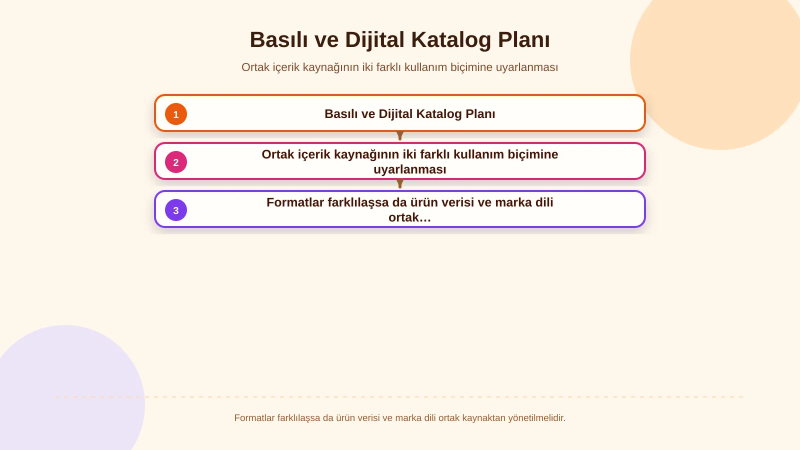 Basılı ve Dijital Katalog Planı