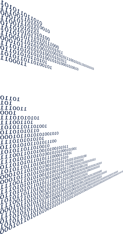 Web Software Web Software