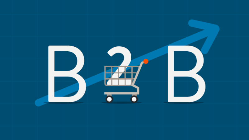 what is b2b software how to use